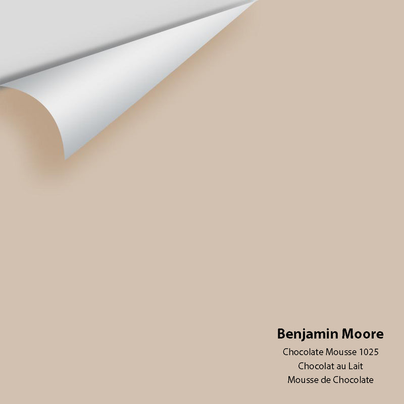 Big Paint Chip - Chocolate Mousse 1025 - Colour Squared Inc.