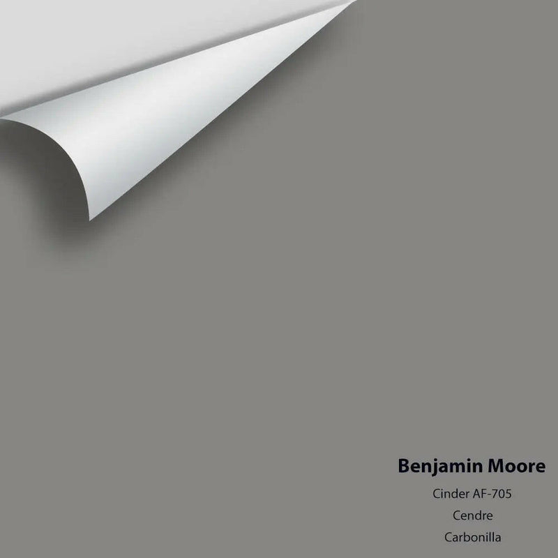 Benjamin Moore - Cinder AF-705 Colour Sample