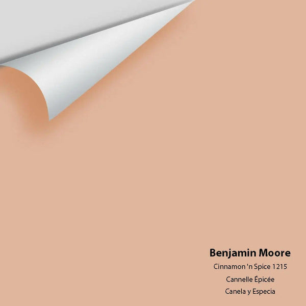 Big Paint Chip - Cinnamon 'n Spice 1215