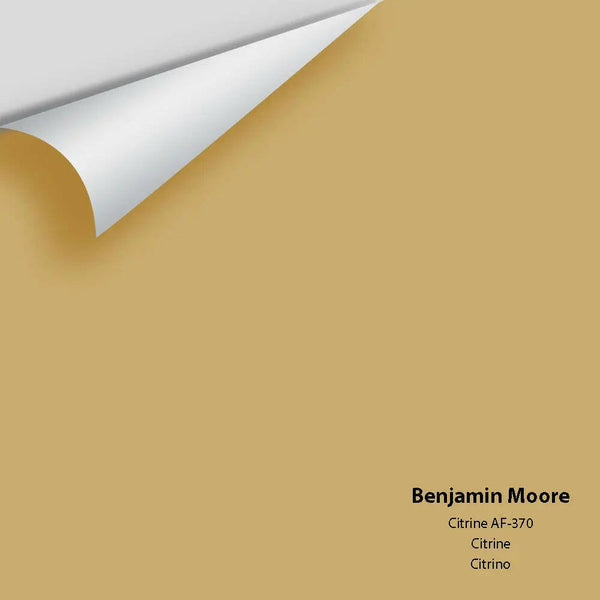 Big Paint Chip - Citrine AF-370