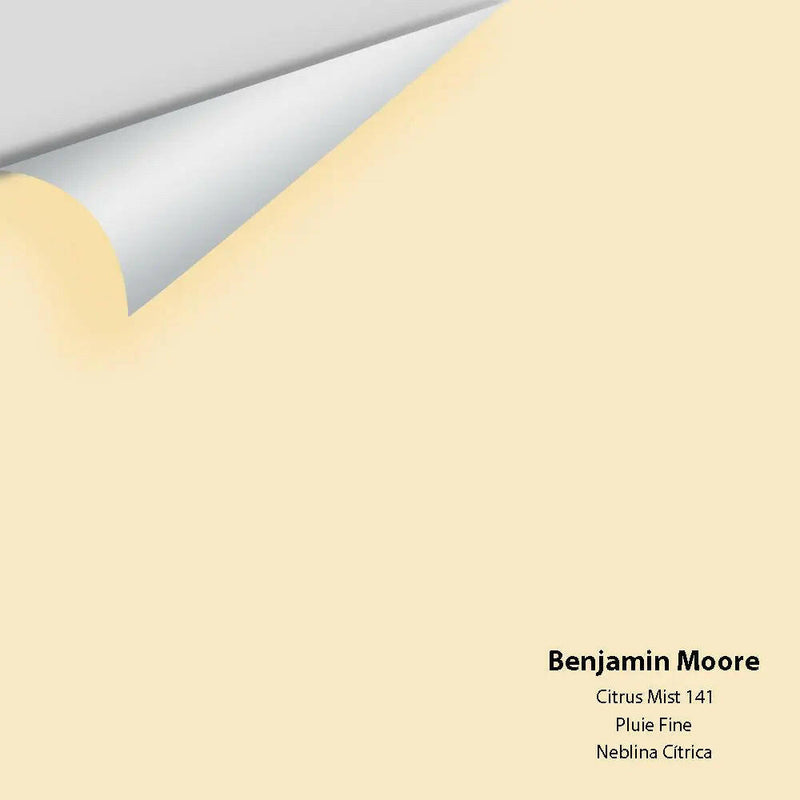Big Paint Chip - Citrus Mist 141