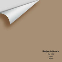 Big Paint Chip - Clay 1034