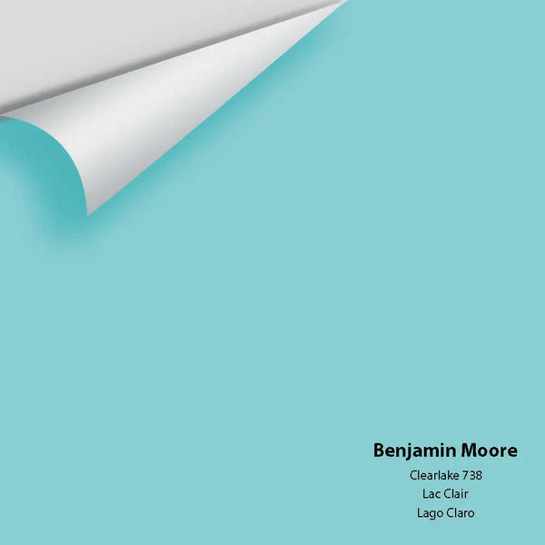 Big Paint Chip - Clearlake 738