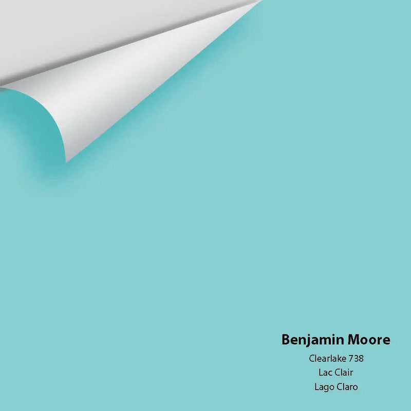 Big Paint Chip - Clearlake 738