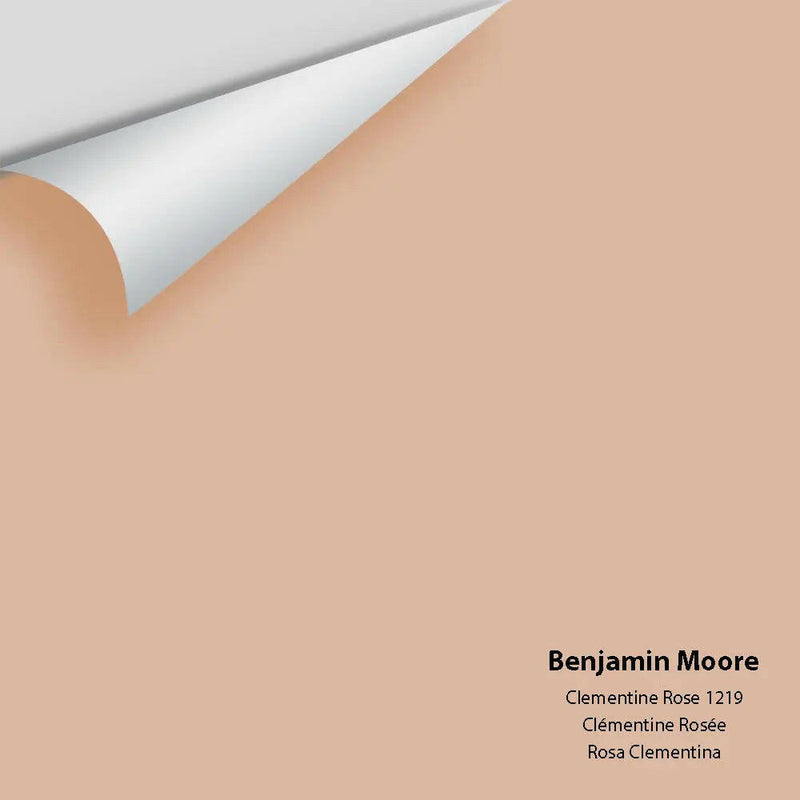 Big Paint Chip - Clementine Rose 1219