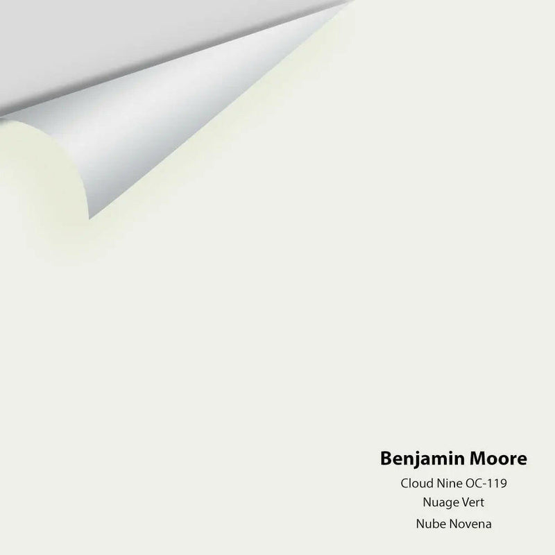 Benjamin Moore - Cloud Nine 2144-60 / OC-119 Colour Sample