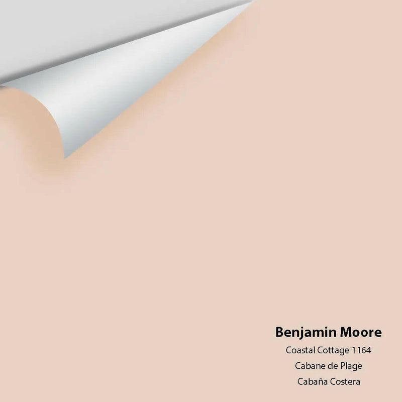 Big Paint Chip - Coastal Cottage 1164