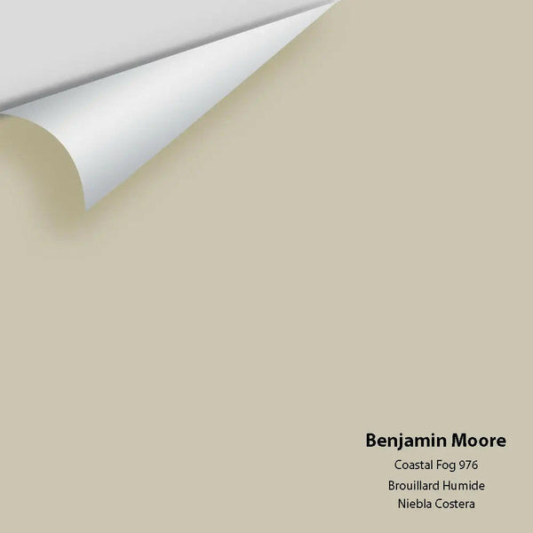 Benjamin Moore - Coastal Fog 976 Colour Sample