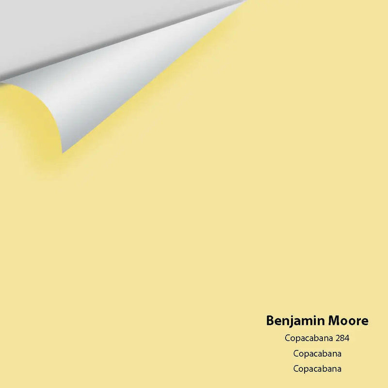Big Paint Chip - Copacabana 284