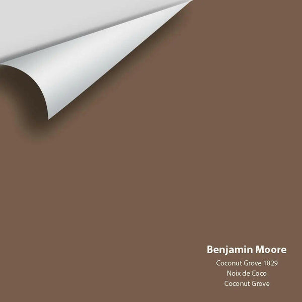 Big Paint Chip - Coconut Grove 1029