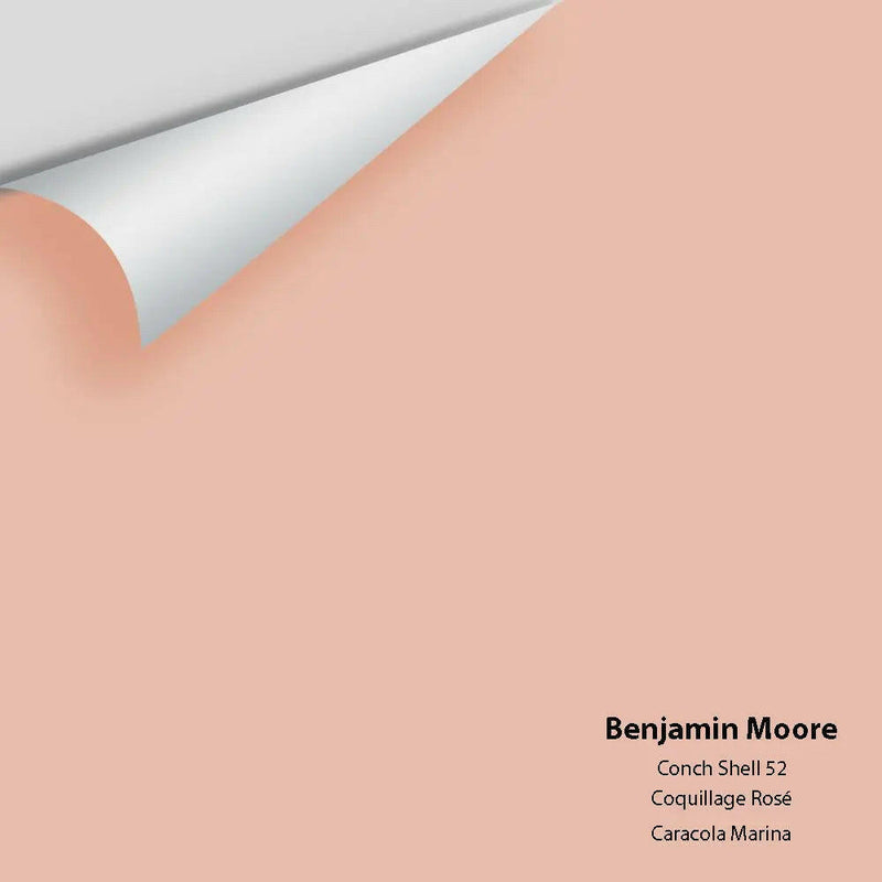 Benjamin Moore - Conch Shell 52 Colour Sample