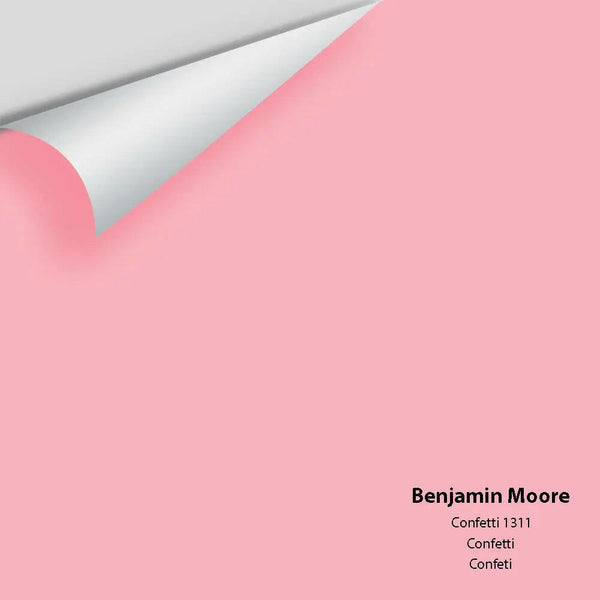 Big Paint Chip - Confetti 1311