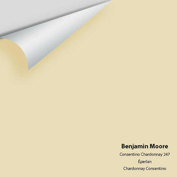 Big Paint Chip - Consentino Chardonnay 247
