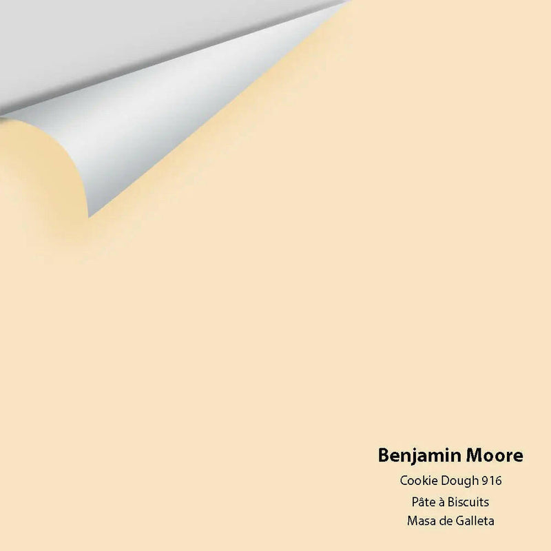 Benjamin Moore - Cookie Dough 916 Colour Sample