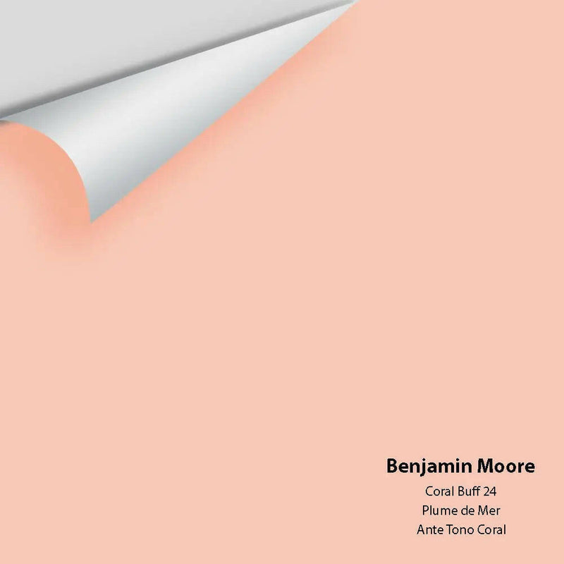 Big Paint Chip - Coral Buff 24
