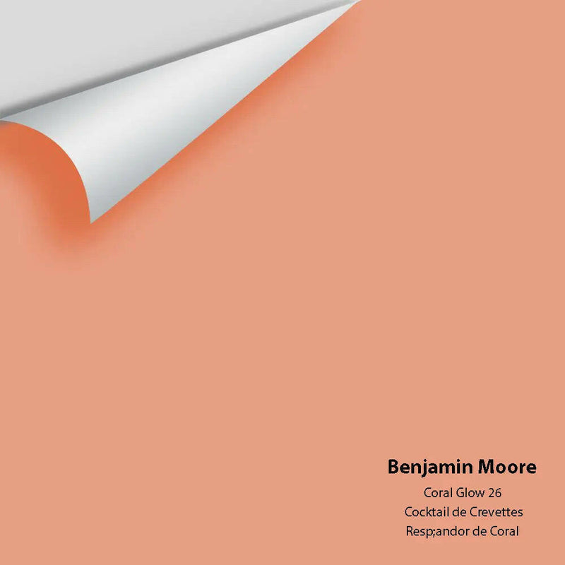 Big Paint Chip - Coral Glow 26
