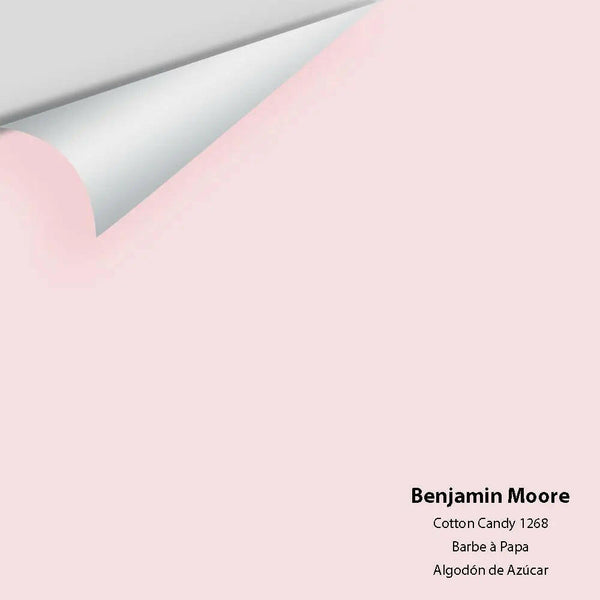 Big Paint Chip - Cotton Candy 1268