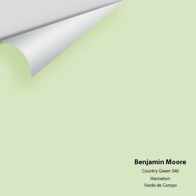 Big Paint Chip - Country Green 540