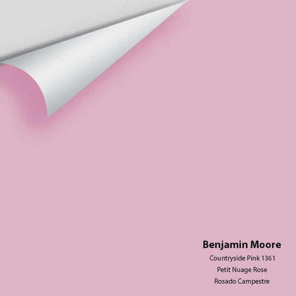 Big Paint Chip - Countryside Pink 1361