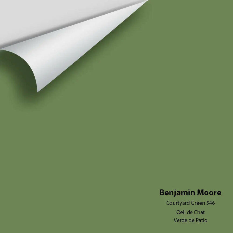 Big Paint Chip - Courtyard Green 546
