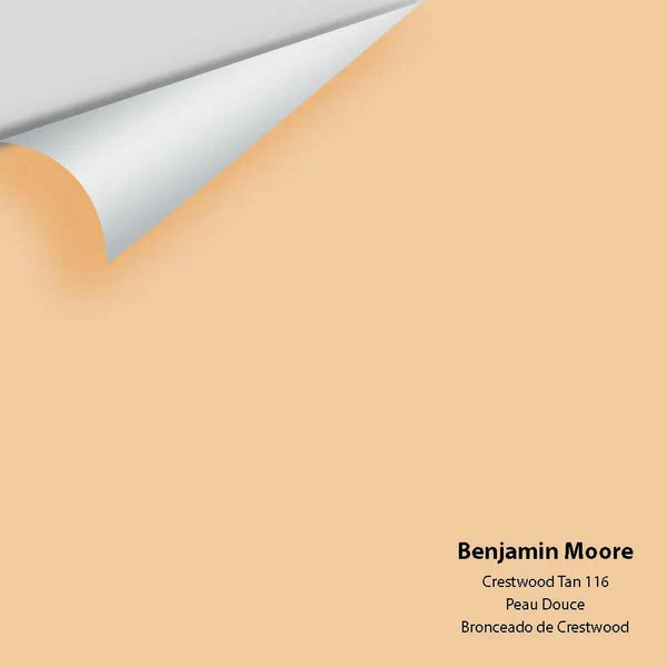 Big Paint Chip - Crestwood Tan 116