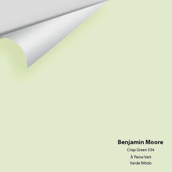 Big Paint Chip - Crisp Green 534