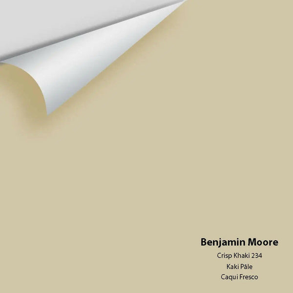 Big Paint Chip - Crisp Khaki 234