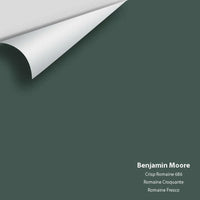Big Paint Chip - Crisp Romaine 686