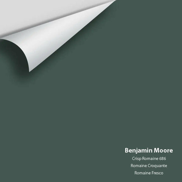 Big Paint Chip - Crisp Romaine 686