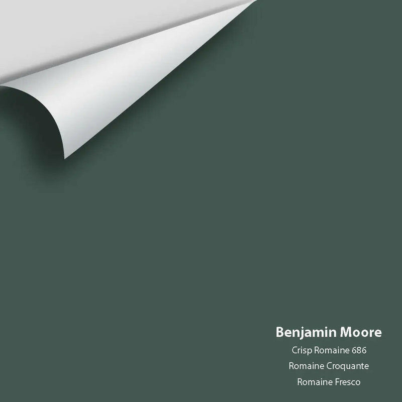 Big Paint Chip - Crisp Romaine 686