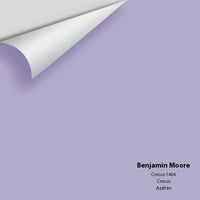 Big Paint Chip - Crocus 1404 - Colour Squared Inc.