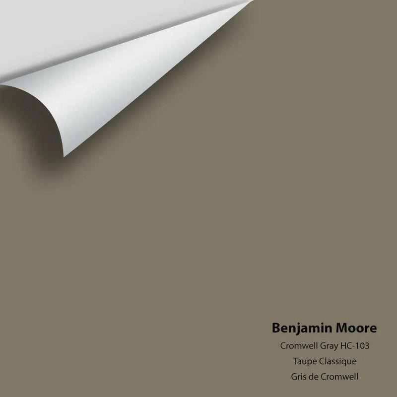 Big Paint Chip - Cromwell Gray HC-103 Colour Sample