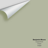 Benjamin Moore - Croquet AF-455 Colour Sample