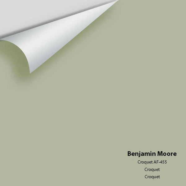 Benjamin Moore - Croquet AF-455 Colour Sample