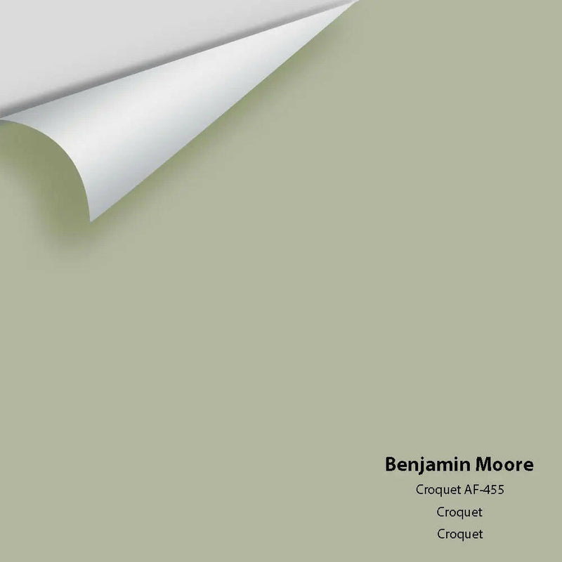 Benjamin Moore - Croquet AF-455 Colour Sample