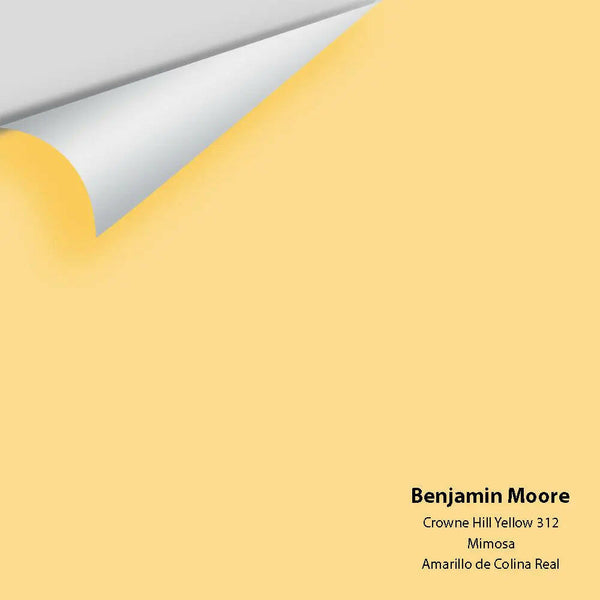 Big Paint Chip - Crowne Hill Yellow 312