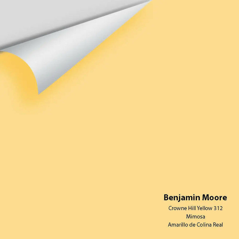 Big Paint Chip - Crowne Hill Yellow 312