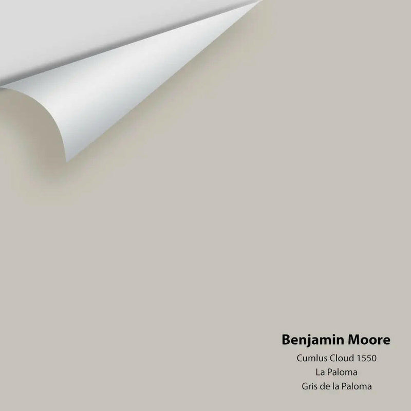 Benjamin Moore - Cumulus Cloud 1550 Colour Sample