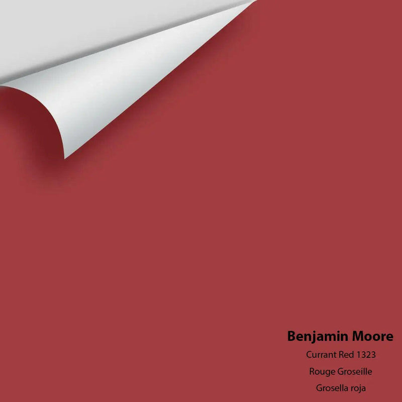 Big Paint Chip - Currant Red 1323