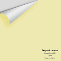 Big Paint Chip - Cypress Grove 388