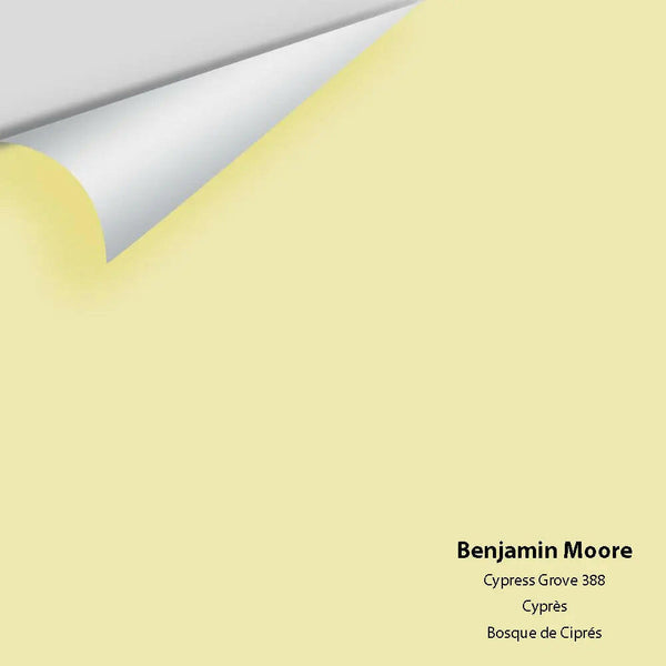 Big Paint Chip - Cypress Grove 388