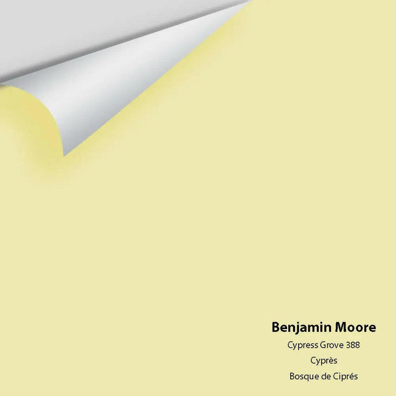 Big Paint Chip - Cypress Grove 388