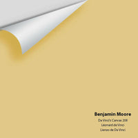 Big Paint Chip - Da Vinci's Canvas 208
