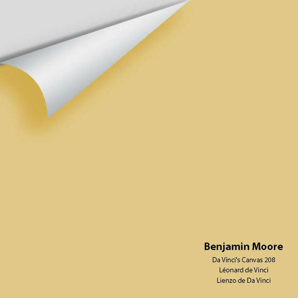 Big Paint Chip - Da Vinci's Canvas 208