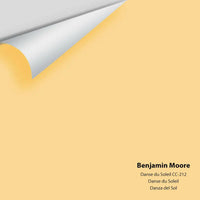Big Paint Chip - Danse du Soleil CC-212