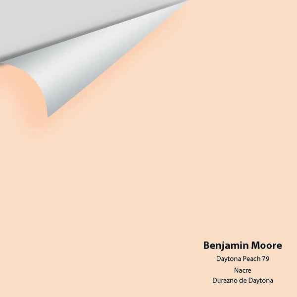 Big Paint Chip - Daytona Peach 79