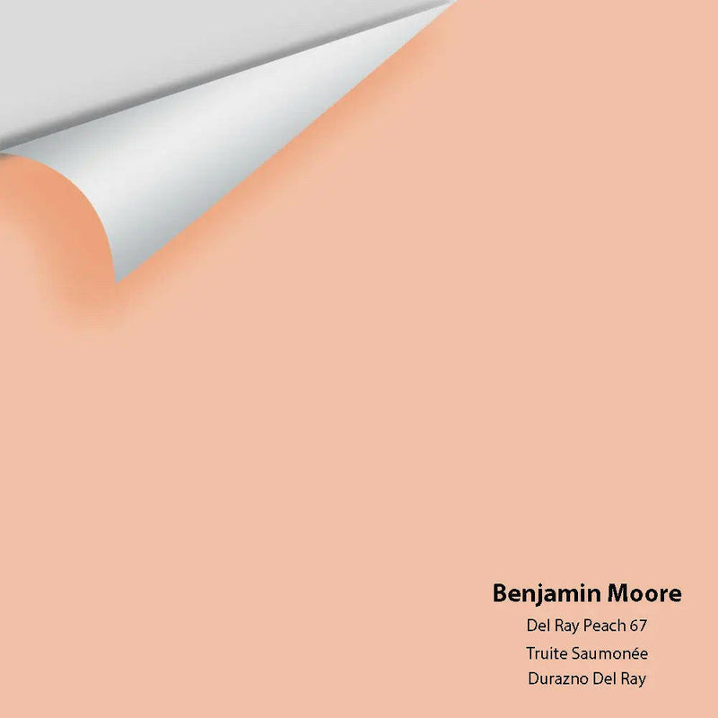 Big Paint Chip - Del Ray Peach 67
