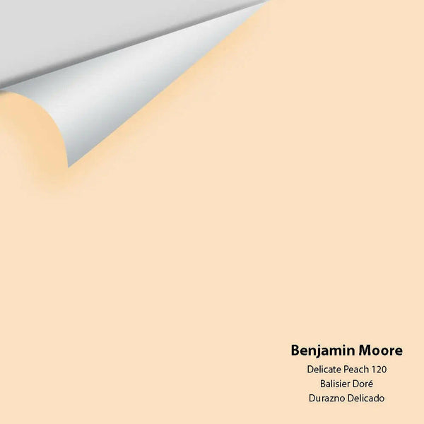 Benjamin Moore - Delicate Peach 120 Colour Sample