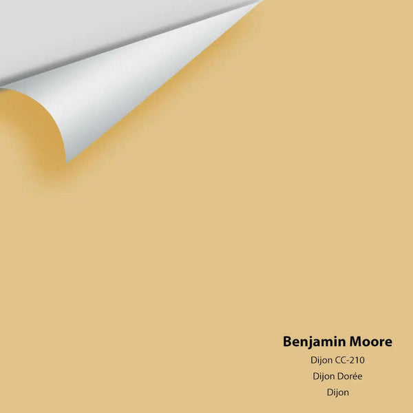 Big Paint Chip - Dijon 193 / CC-210