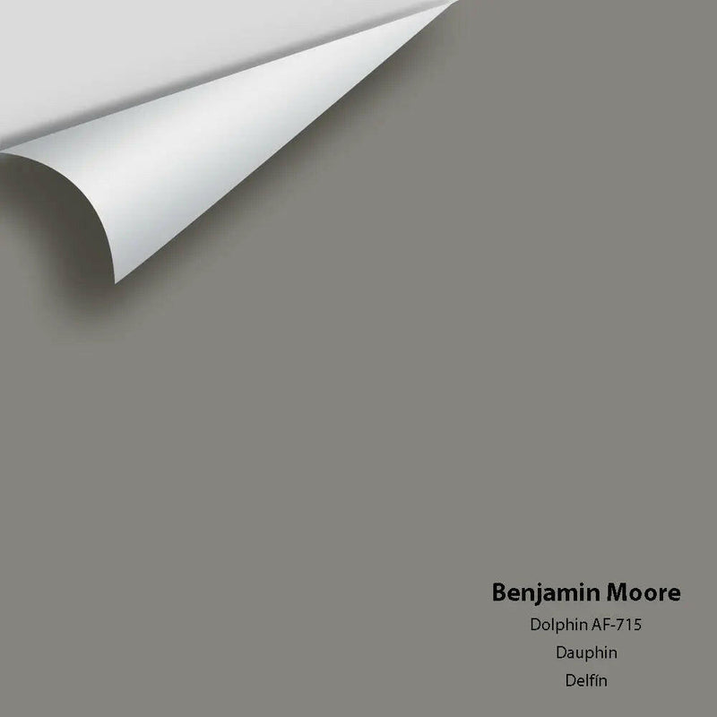 Big Paint Chip - Dolphin AF-715